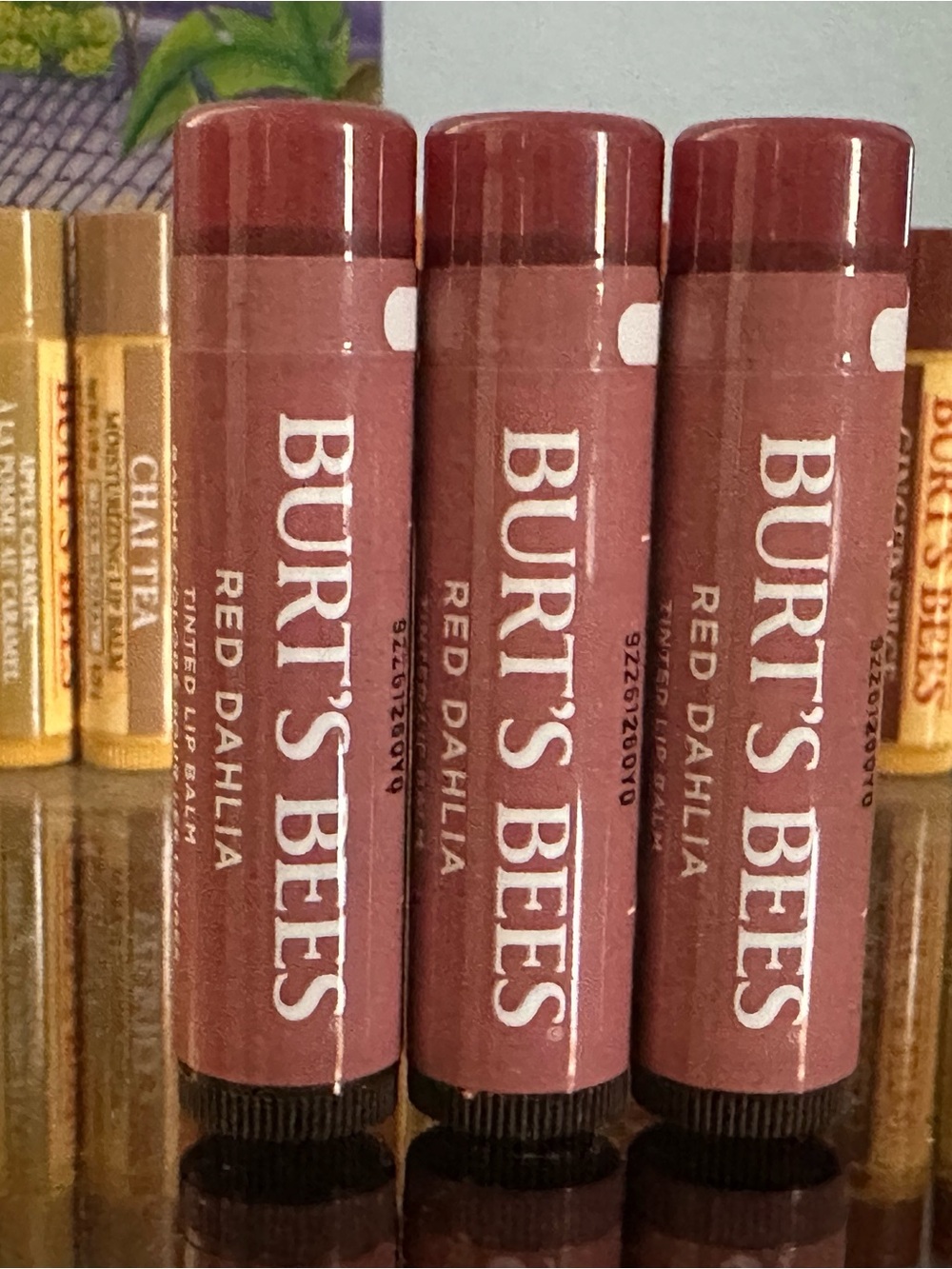 Lip Balm Tubes (Burt's Bees)